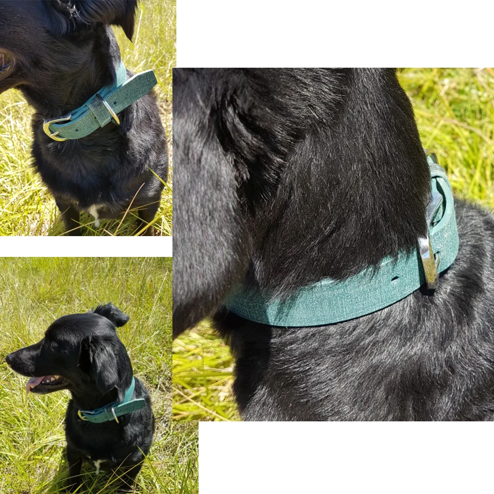 

New Fashion Design Genuine Leather Dog Collar For Small Big Dogs Green Bling Dot Pattern Adjustable Necklace Pet Products L