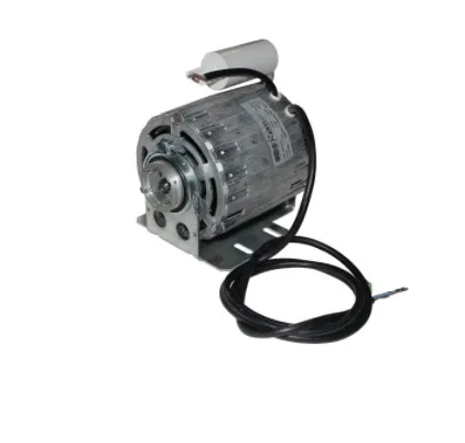 Motor fur Italcrem Pumpe | Бытовая техника