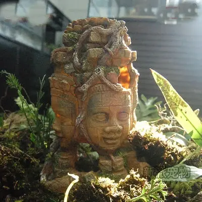 

Аквариум, коробка, Каменный Будда, укрытие от украшения