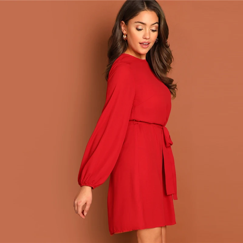 SHEIN Однотонное Платье С Поясом Женское Платье Повседневные Осенние Платья