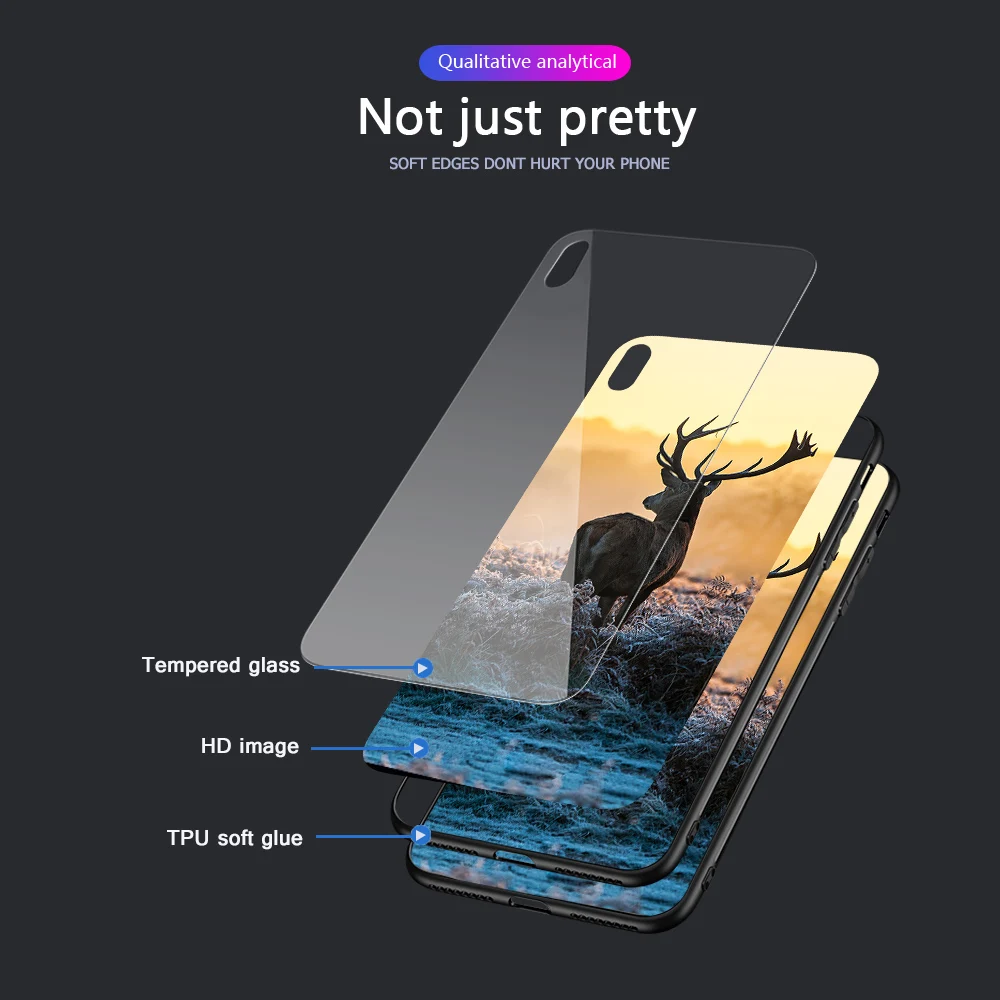 ciciber Animal Cat Floral for iphone X XR XS MAX 7 8 6 6S Plus Glass Cases Back Cover 11 Pro Max Case Funda Coque |