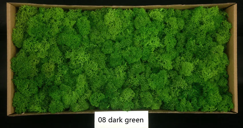 500 г/кор. DIY сохранились натуральной Moss нескольких цветов цветок для офиса Дом Конференц-зал Свадебные украшения - Цвет: dark green