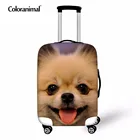 Водонепроницаемый защитный чехол Coloranimal для чемодана, дорожные аксессуары с принтом Померанской собаки, чехол на молнии для багажа на колесиках 18-30 дюймов