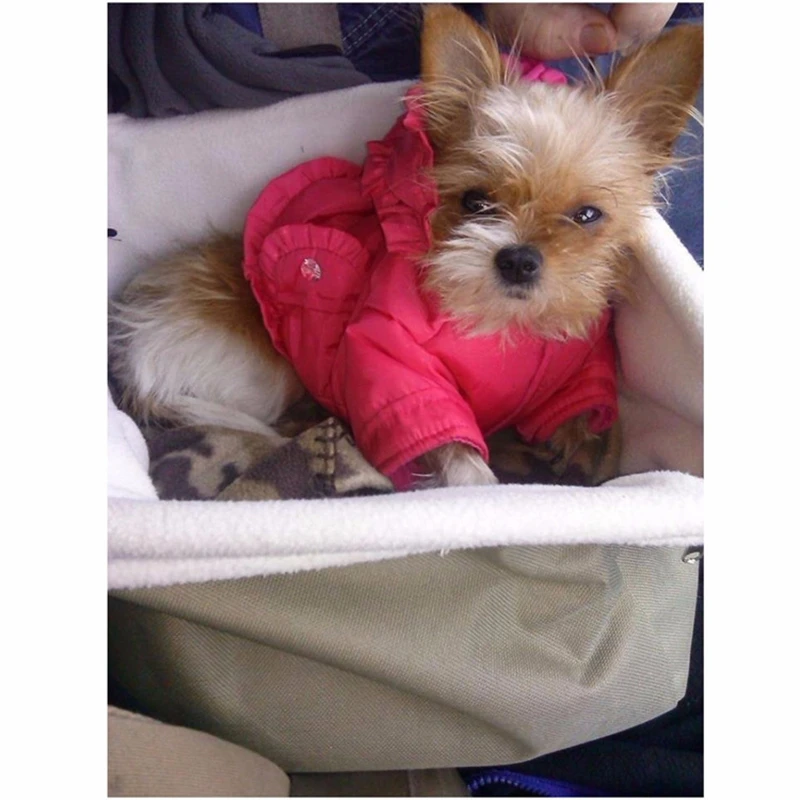 Переносная сумка для собак переноска щенков хранения усилитель домашних