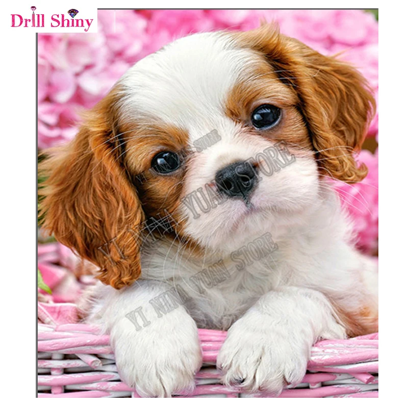 Новое поступление алмазная живопись вышивка крестиком собака сделай сам