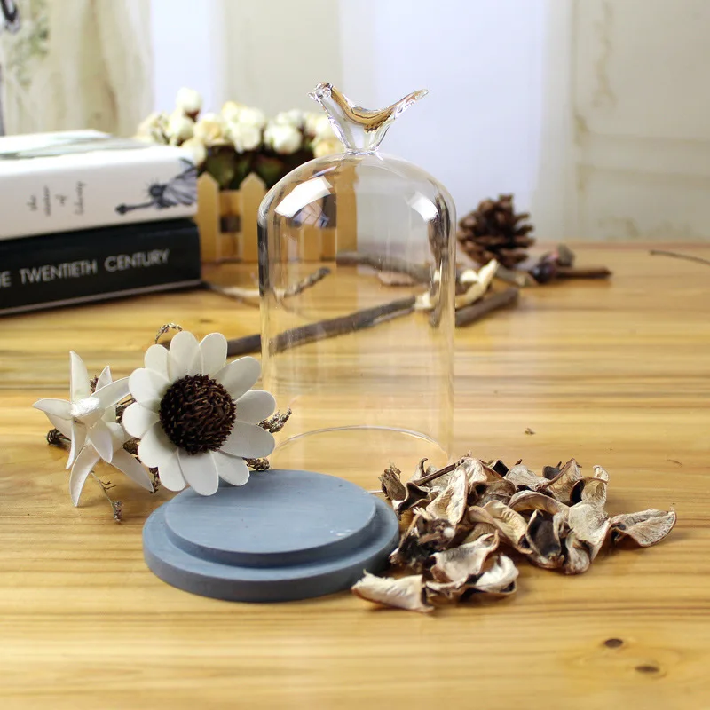 Оригинальный экологический микропейзаж сухое стекло для цветов Декор дома и