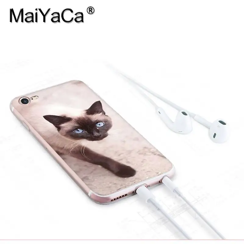 MaiYaCa для iphone 7 6 X Чехол для домашних животных сиамский Кот Прозрачный чехол для iphone 8 7 6 6S Plus X 10 5 5S SE 5C XS XR мобильный чехол