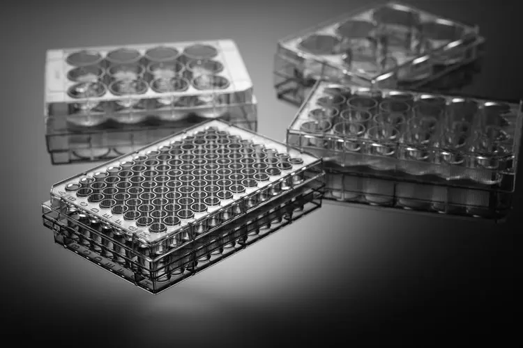 Одноразовая чаша Петри с 12 отверстиями 5 шт. | Канцтовары для офиса и дома