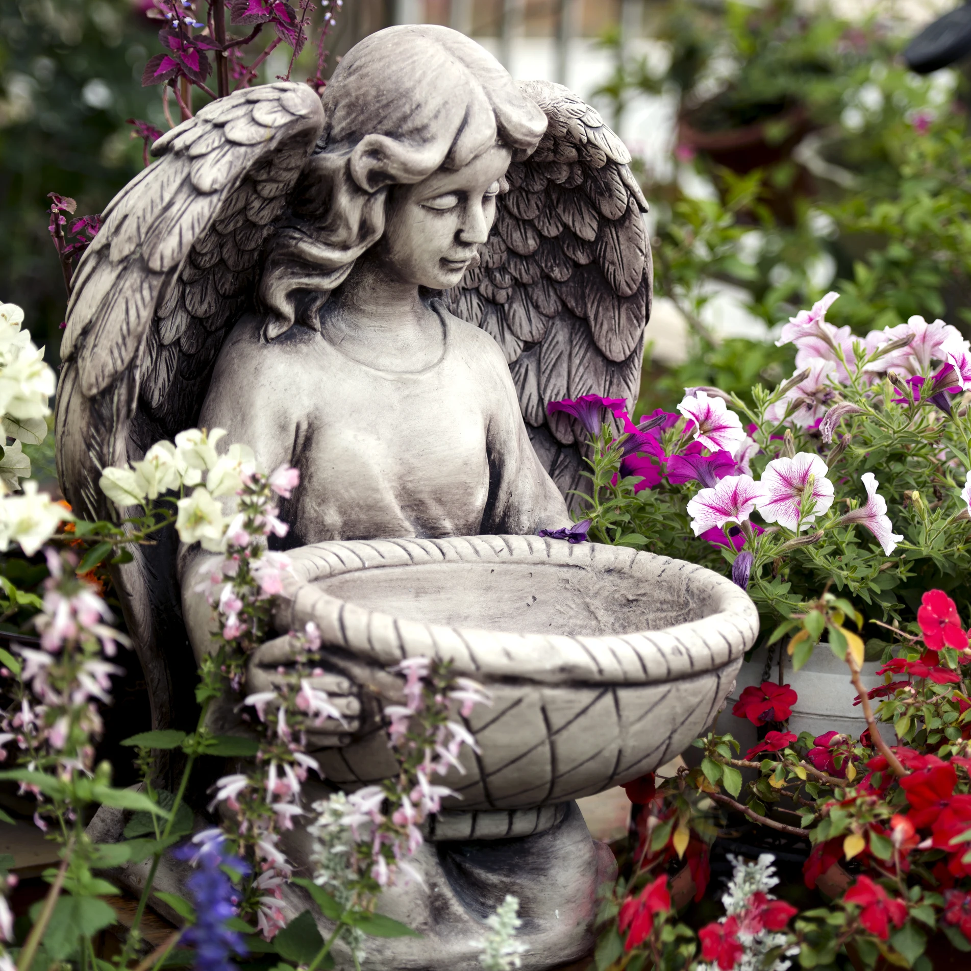 baratas Cimento Anjo Vaso De Jardinagem Ao Ar Livre Enfeites De Jardim Suculenta Grande Calibre Vaso Decoração PÔtio MobiliÔrio Artesanato