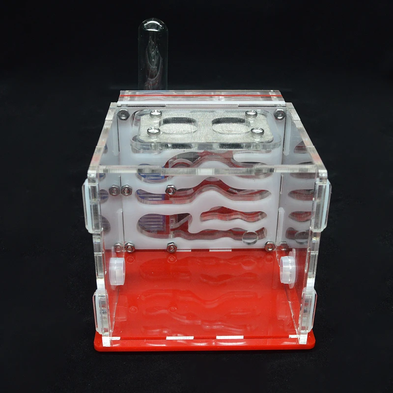 DIY acryl Ant ферма Муравьиное гнездо с питанием площадка муравей дом для домашних животных Anthill мастерской муравей дом с увлажняющей водной башней 8*8*10 см