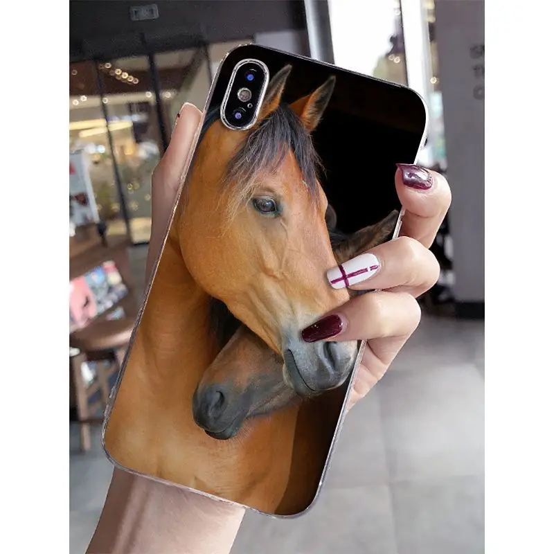 A12 Babaite Frederik The Great beauty horse DIY роскошный высококачественный протектор чехол для iPhone 6 S 6 plus 7 7 plus 8 8 Plus X Xs MAX 5 5S XR - Цвет: A12