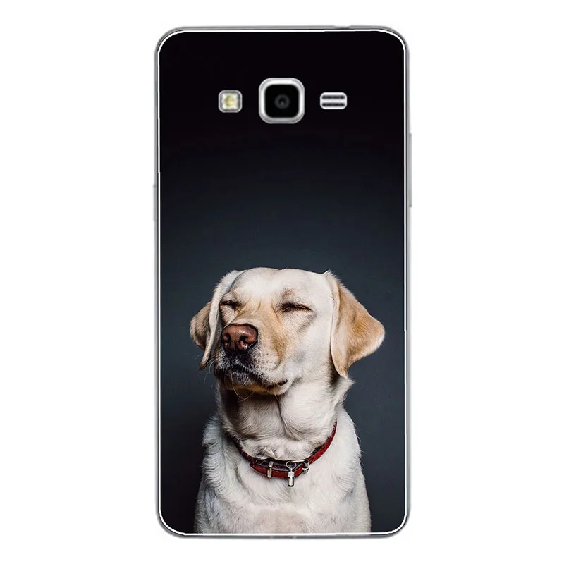 J16 Мягкий чехол из ТПУ для samsung Galaxy Grand Prime, чехол G530, G531, G531H, чехол, силиконовый чехол, чехол с принтом для samsung, чехол для Grand Prime - Цвет: J16
