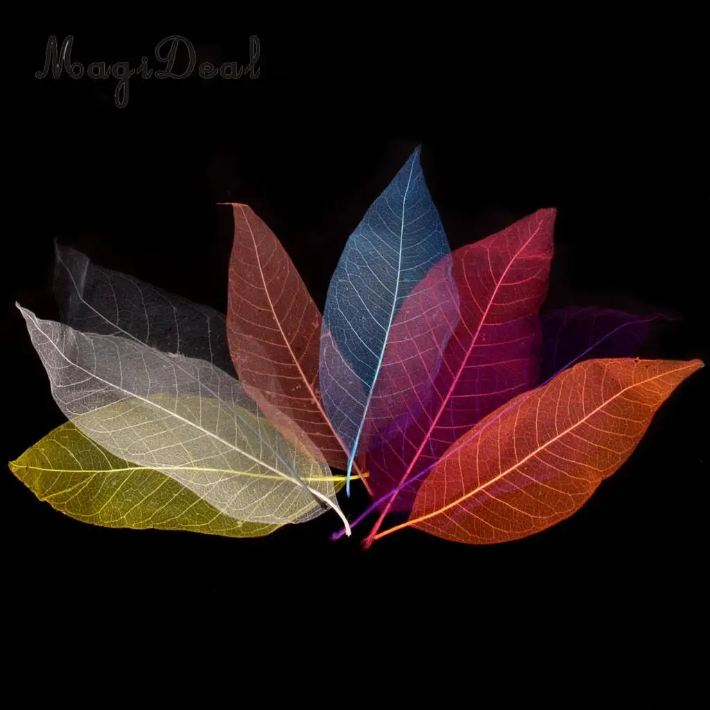 

50Pcs Natural Magnolia Skeleton Leaf Leaves Card Scrapbooking DIY Mixed Color used to decorate cards candles packages