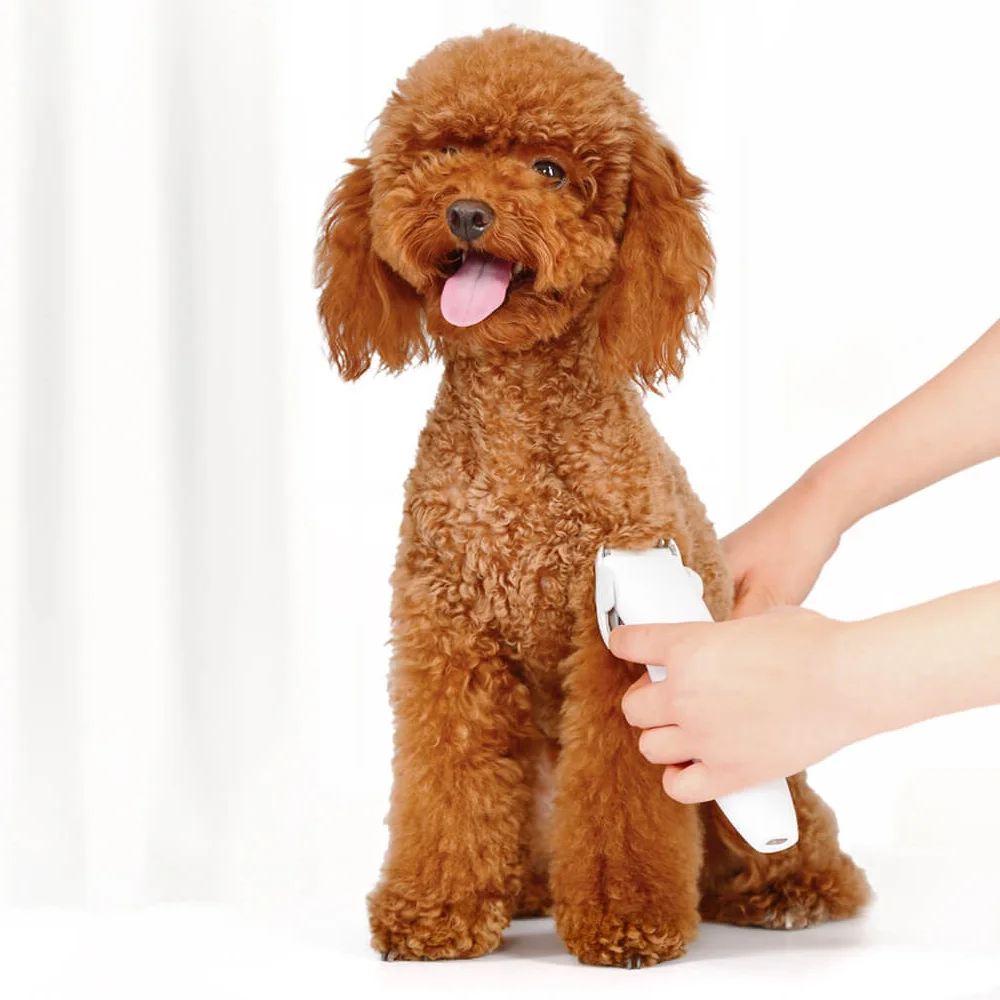 Xiaomi Mijia Pawbby Бритва для домашних животных 2000 мАч съемный безопасный триммер для мытья собак и кошек уход за лошадьми низкая вибрация низкий уровень шума товары для домашних животных