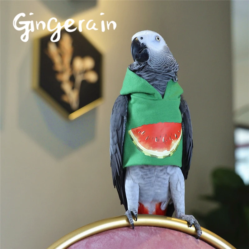 Gingerain одежда с птицами и попугаями оригинальная ручной работы свитер капюшоном