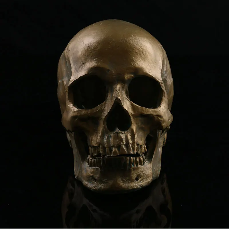 Медицинская модель черепа имитация смолы Череп Хэллоуин украшение для головы
