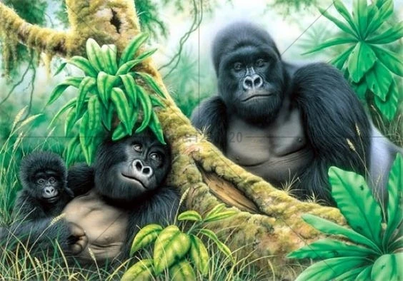 Новый Diy 5D алмазная картина животное baboons мозаика полностью квадратные Стразы