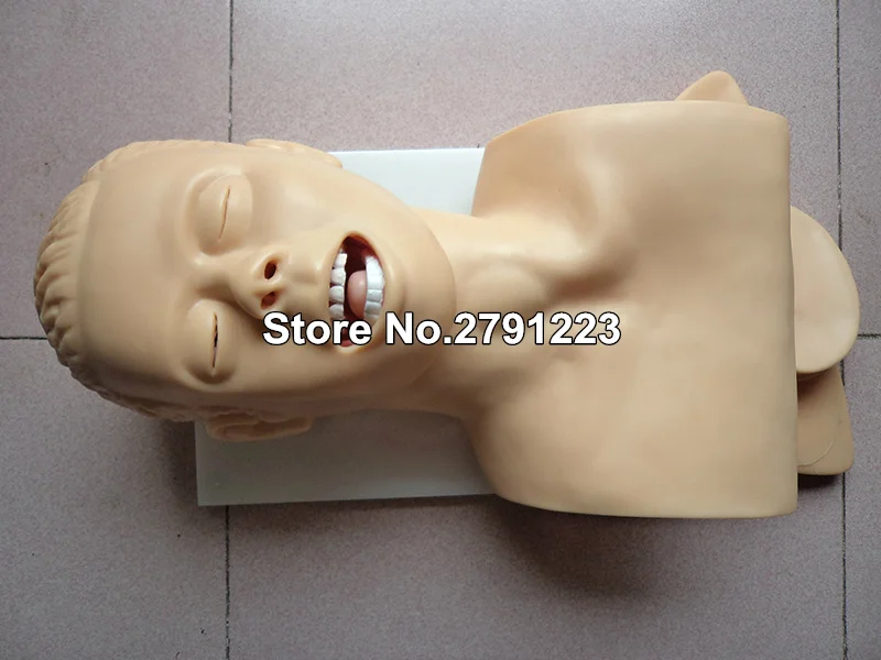 220V Intubation Manikin Учебная модель ПВХ Airway управление тренером медицинская школа студенческий образовательный обучающий источник