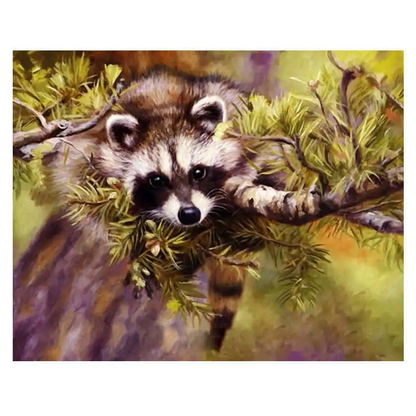 raccoon painting 9 Раскраска по номерам, сделай сам роспись по номерам, декоративная картина роза, цветочные картины по номерам - Цвет: raccoon painting 9