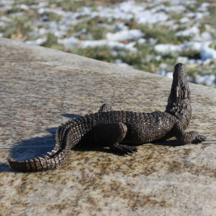 Цельная безвкусная экологическая симуляция леса дикого животного мира модель