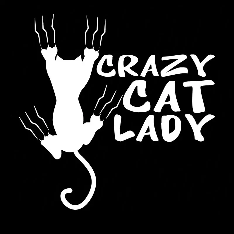 14 см * Виниловые стикеры Crazy Cat Lady наклейки Стайлинг автомобиля черный серебристый