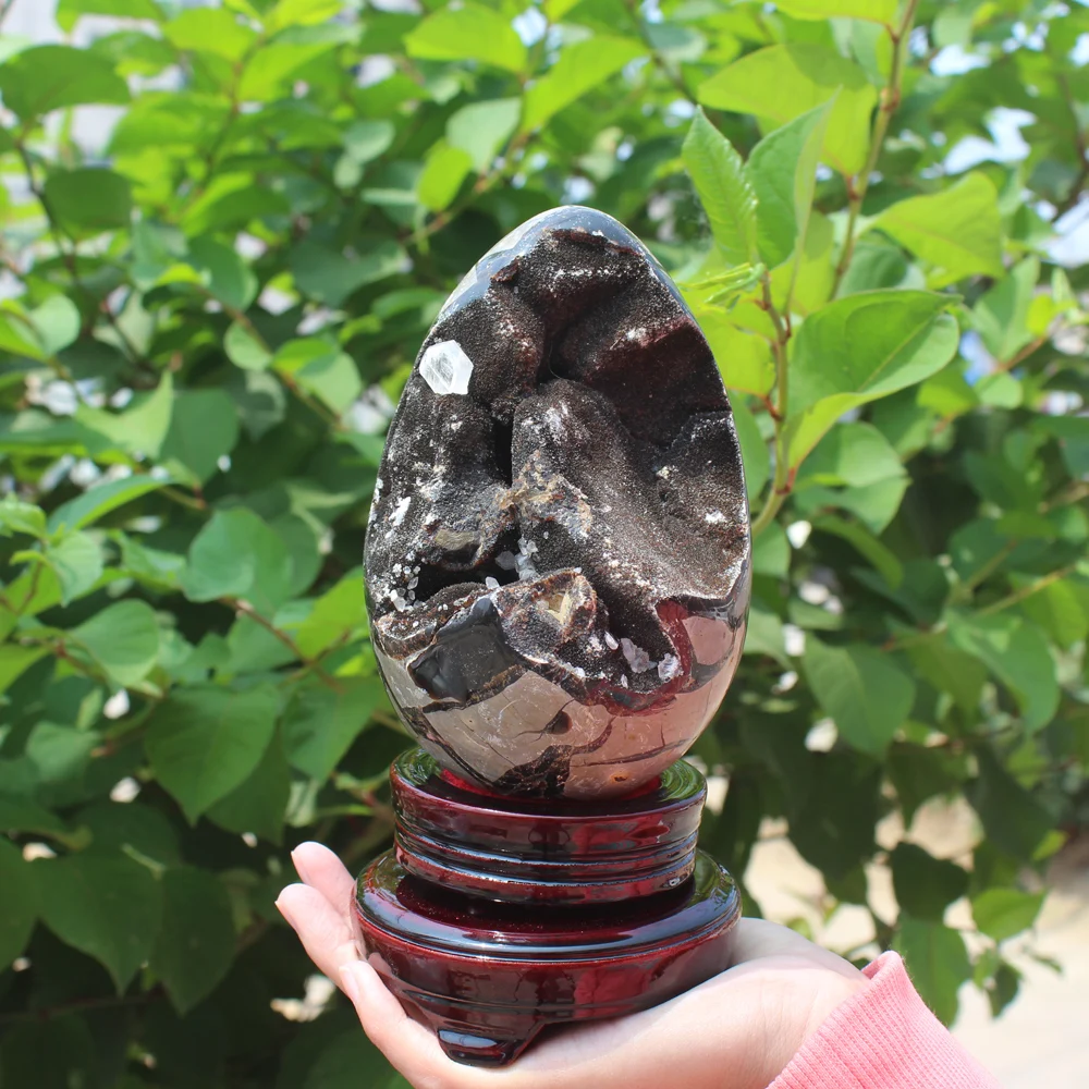 1510g Natural curvature of the furnishing articles Turtle grain stone egg Ball Septarian nodule Fossil Crystal Healing quartz | Дом и сад