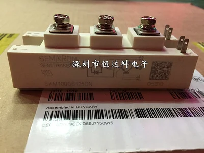 

SKM100GB125DN