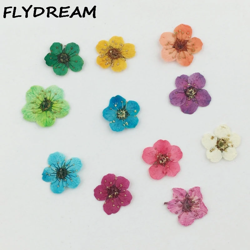 FLYDREAM 10 шт./лот 16 цветов высушенный цветок на ощупь сделай сам для украшения ногтей