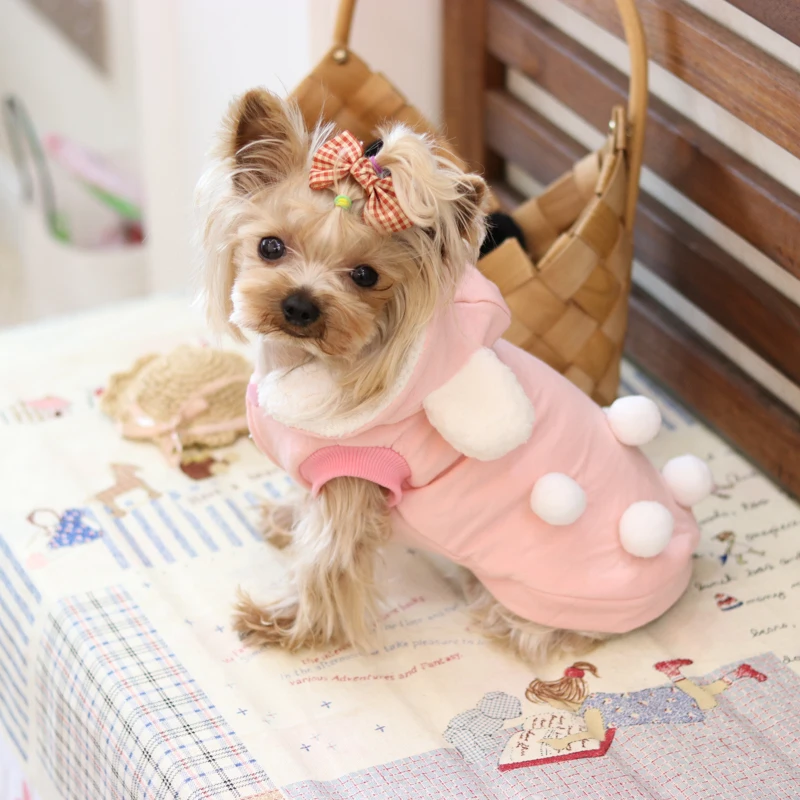 Little Balls Lovely Ear Yorkie Fleece Thick Coat Jackets Hoodies Clothing Chihuahua Dogs Products Pet Cats Autumn Winter 17ZF162 | Дом и сад