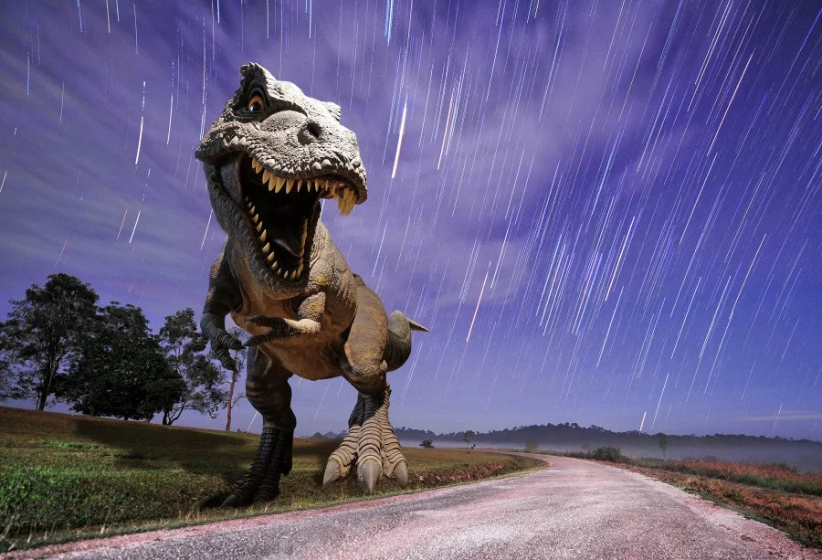 

3D Фотофон Laeacco с реалистичным ревом динозавра, возраст, дождливая трава, детский Фотофон, индивидуальные фоны для фотостудии