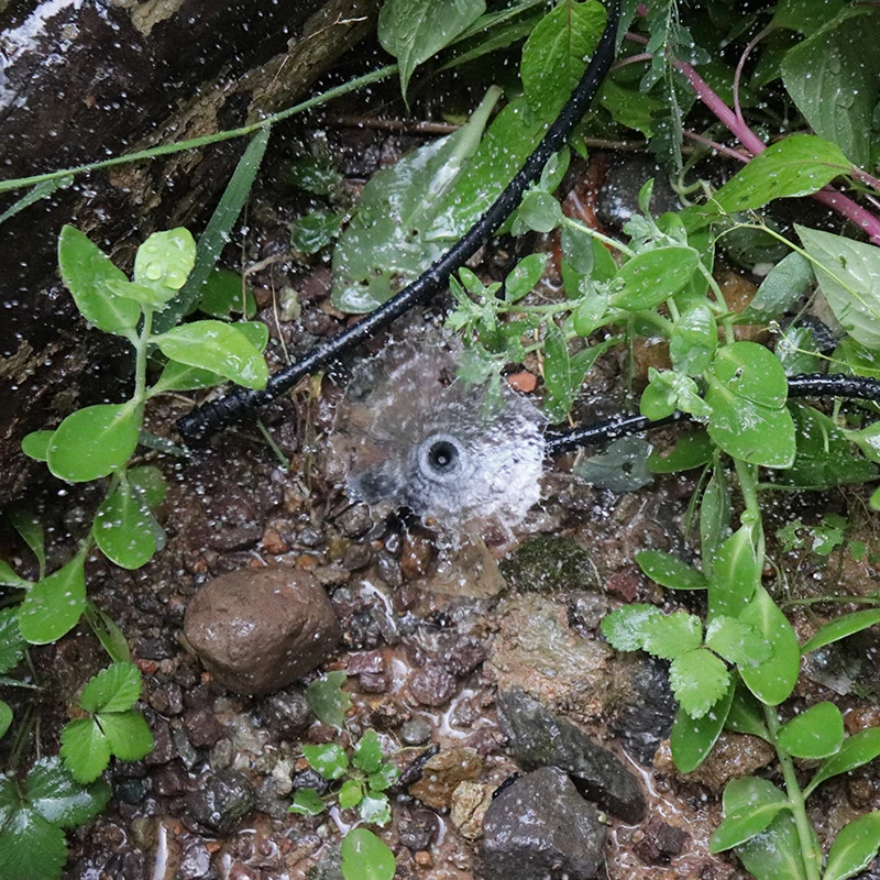 Система капельного орошения для сада комплект из 4/7 мм ручек автоматический