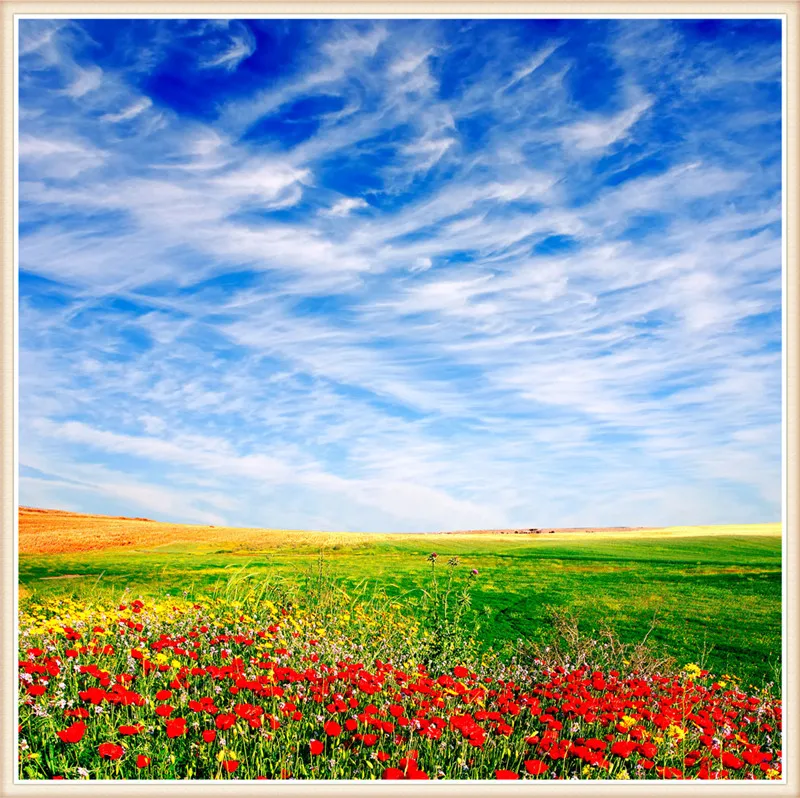 Алмазная вышивка сделай сам | Дом и сад