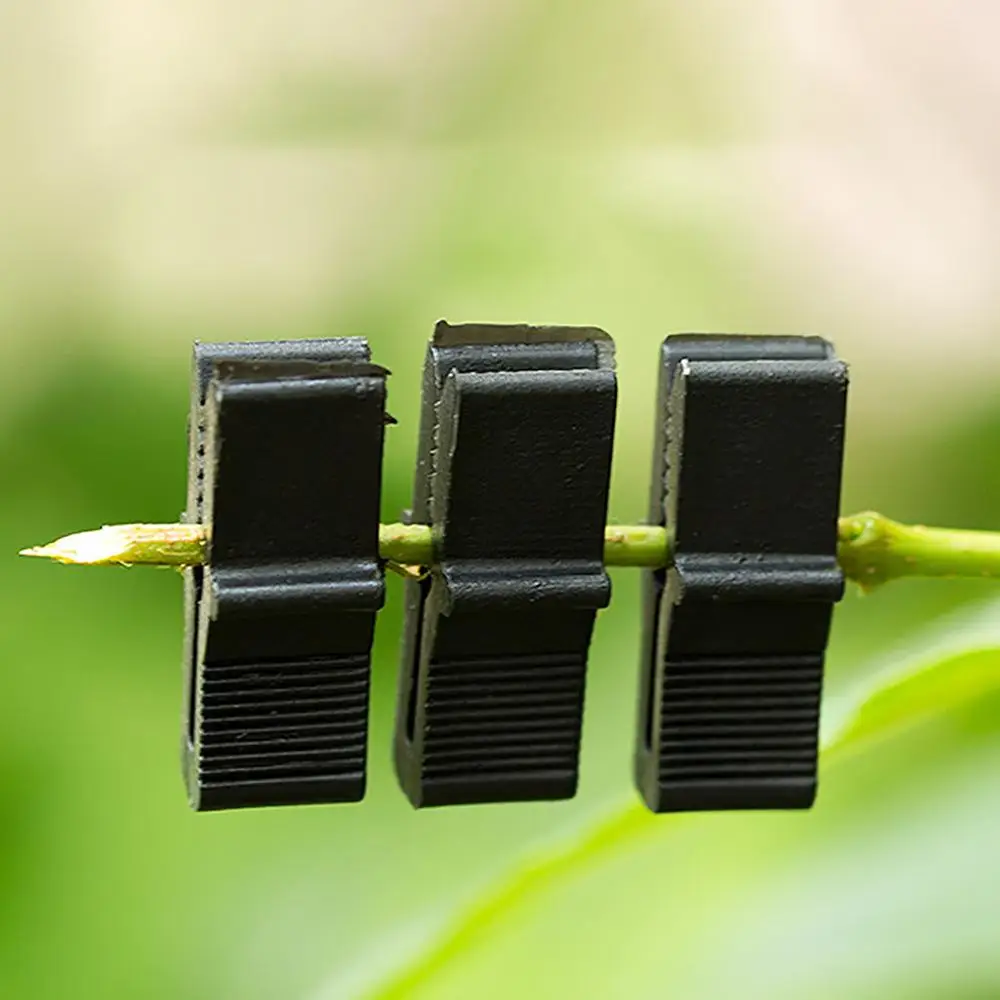 100pcs Grape shelter shed film zipper clip plastic fixed fruit tree greenhouse black @16 | Дом и сад
