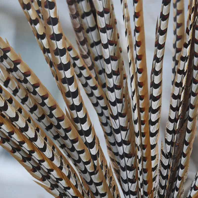 Горячее предложение! Оптовая продажа роскошного натурального фазана с большим