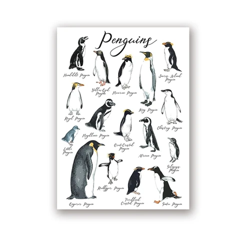 Настенный художественный постер с изображением мировых пингвинов, милые художественные принты для детской комнаты, декор для детской, животные, животные под угрозой исчезновения, Картина на холсте