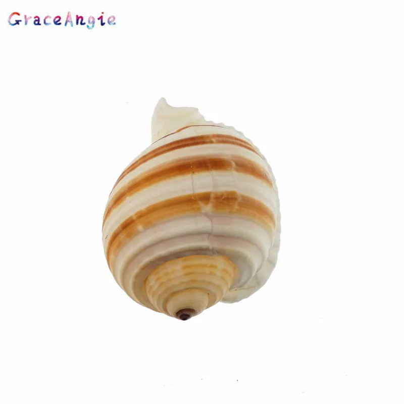 GraceAngie натуральная ракушка полосатая форма ювелирные аксессуары DIY пляжные