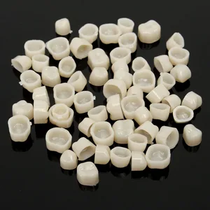 2 упаковки, стоматологические материалы натурального цвета, смешанные временные короны для начальников, 65 шт. + моляр, 50 шт., продукт для стоматолога