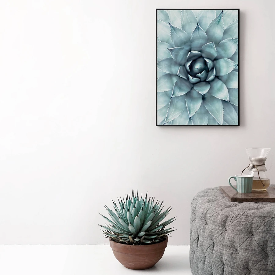 Картина на холсте суккуленты растения Агава холст постер печать для гостиной