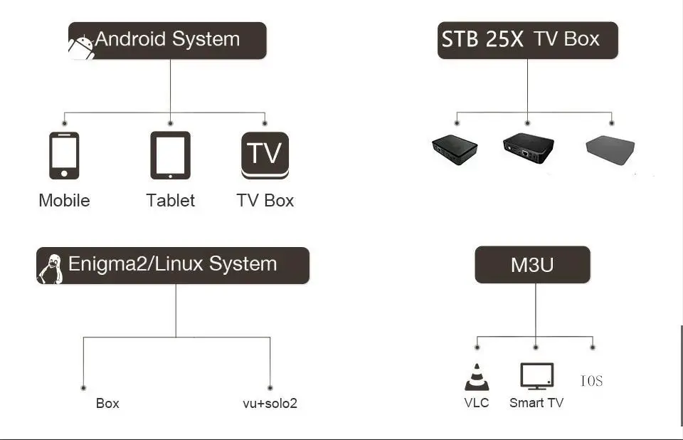 IPTV подписка Европа голландский IP ТВ Франция испанско-португальский Немецкий Арабский Нидерланды Великобритания США IP tv для Smart tv M3U 6000 Live tv