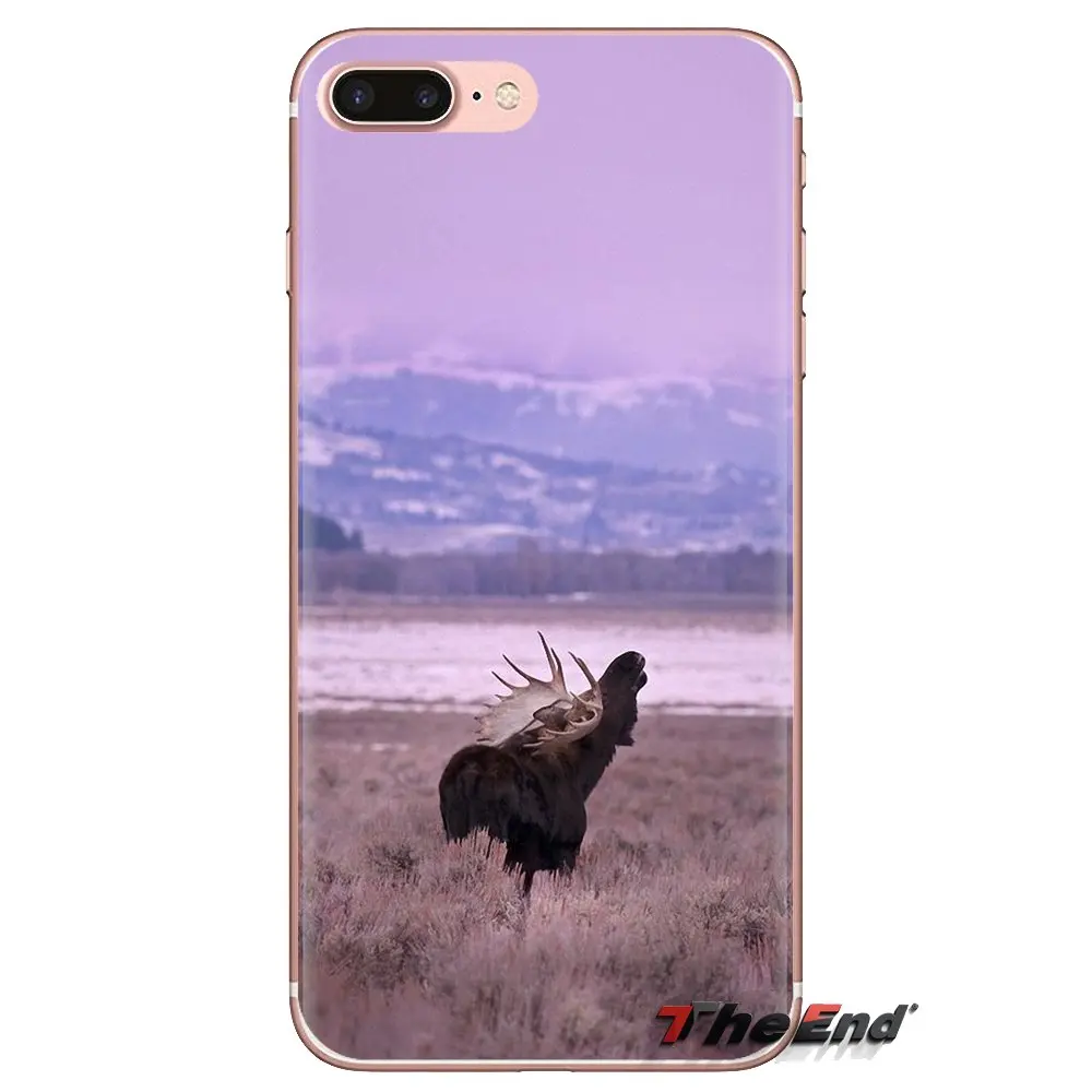 Мягкий прозрачный чехол-сумка с животным Аляска Булл Moose для Oneplus 3T 5T 6T Nokia 2 3 5 6 8 9 230