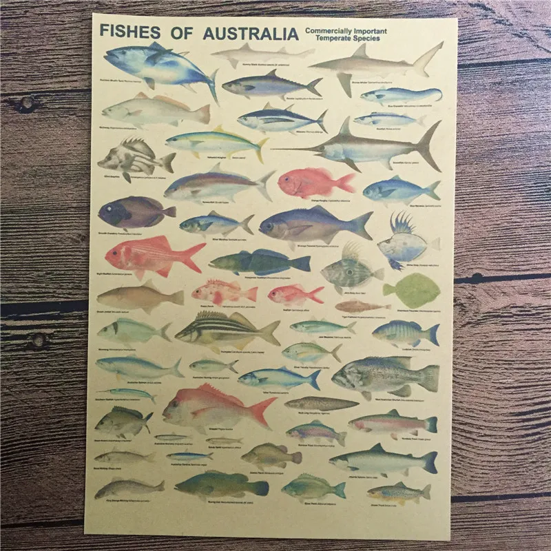 Высокое качество CTF 014 &quotРыбы Австралии&quot Винтаж крафт бумага wall art наклейки
