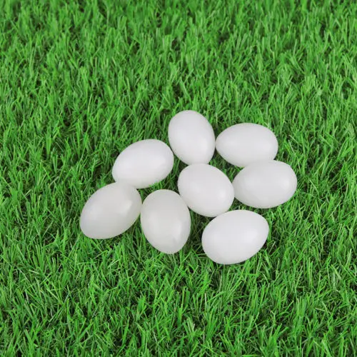 5 шт. фотояйцо для птицы|eggs for hatching|egg fakeeggs hatching |