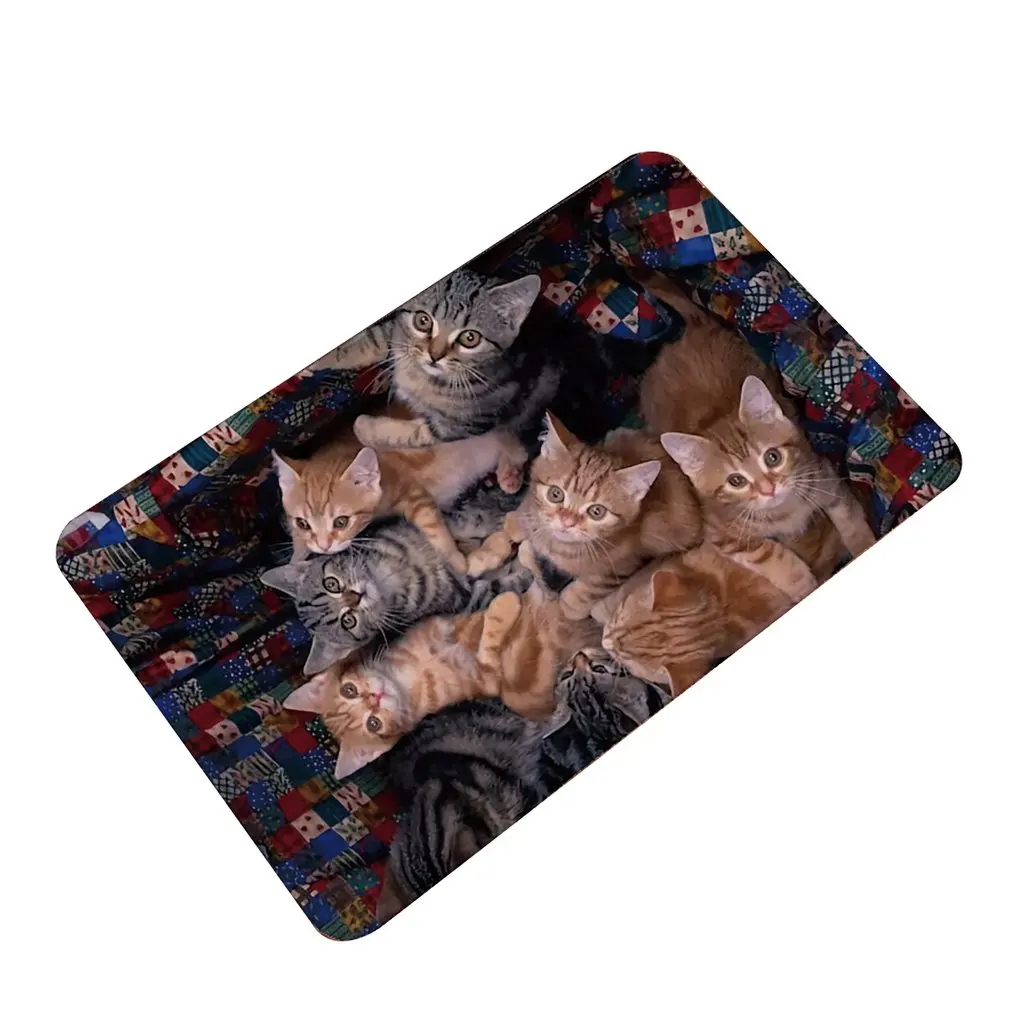 3D Kawaii Cat печати приветственные Напольные Коврики Спальня Коврик для прихожей
