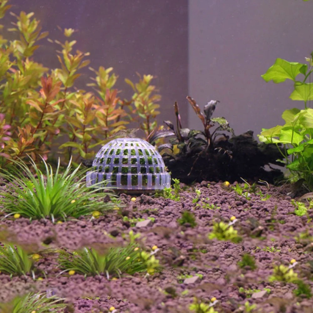 Новый аквариумный мех для аквариума моховый шар живое растение фильтр