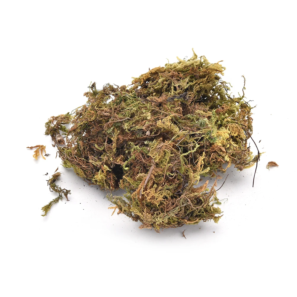 Декоративные растения сохраняющие сухость мох 10 г/пакет вазы искусственный дерн