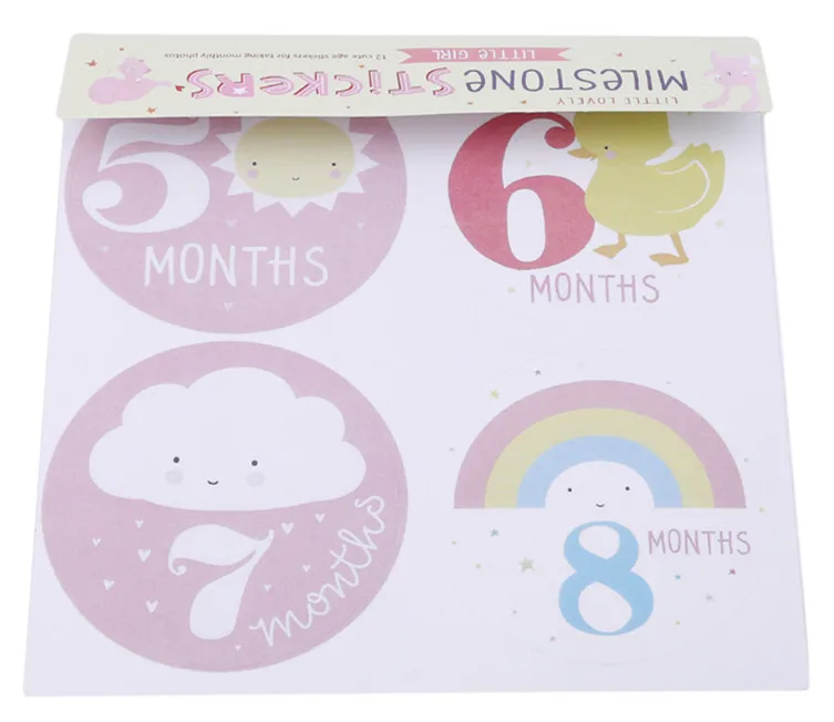 Pink Female Baby 12p Детская Наклейка для фотосъемки в разных месяцах Милая мультяшная детская одежда для скалолазания наклейка с животными 1-12 месяцев забавная наклейка s - Цвет: Pink Female Baby 12p