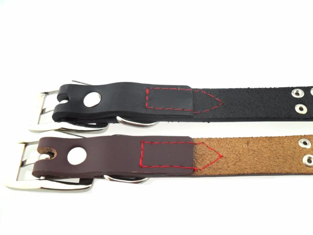 Onewellpet Бренд Качество кожаный ошейник с украшением из маленькие заклепки и металла кость для чихуахуа и Другое мелких животных собаки