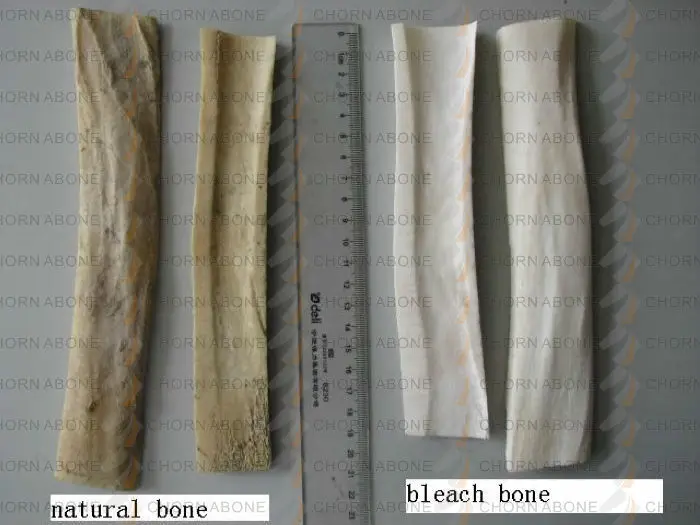10 ШТ. из натуральной кости папки серии B CHORN ABONE | Канцтовары для офиса и дома