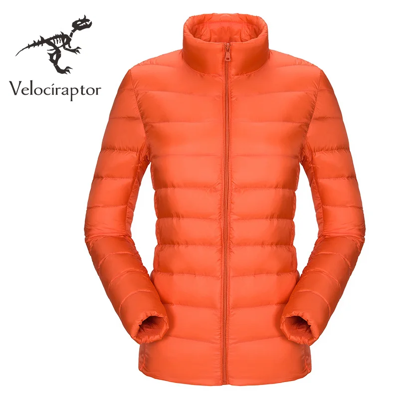 Men's Stand Collar Patchwork Down Lining Thick Waterproof Windproof Outdoor Hiking Jacket 2 Pieces Hat Liner Detachable | Мужская