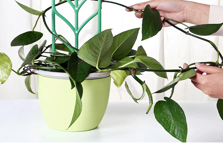 3 шт. DIY пластиковые растения поддержка искусственные скалолазание растения цветок стенд карликовые деревья поддержка полка дом Двор садовый инструмент